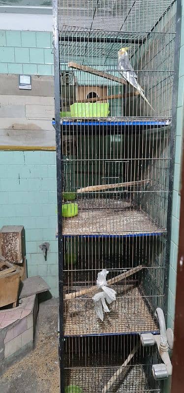 4 and 8 portion cages 3