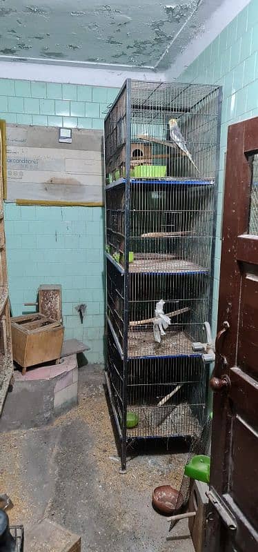 4 and 8 portion cages 5