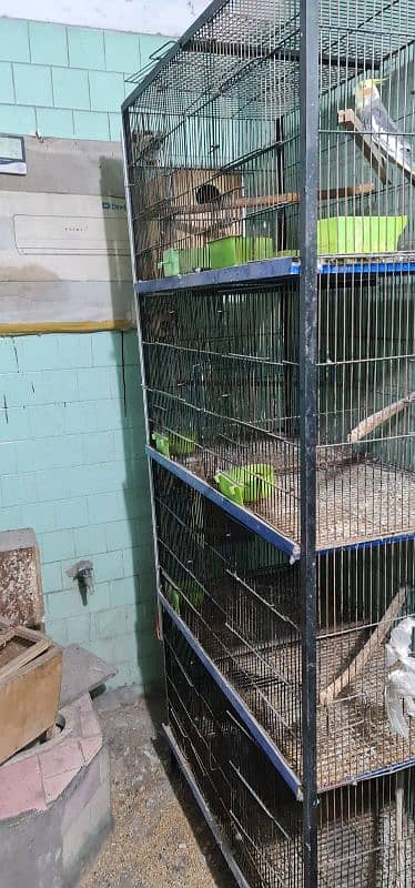 4 and 8 portion cages 6