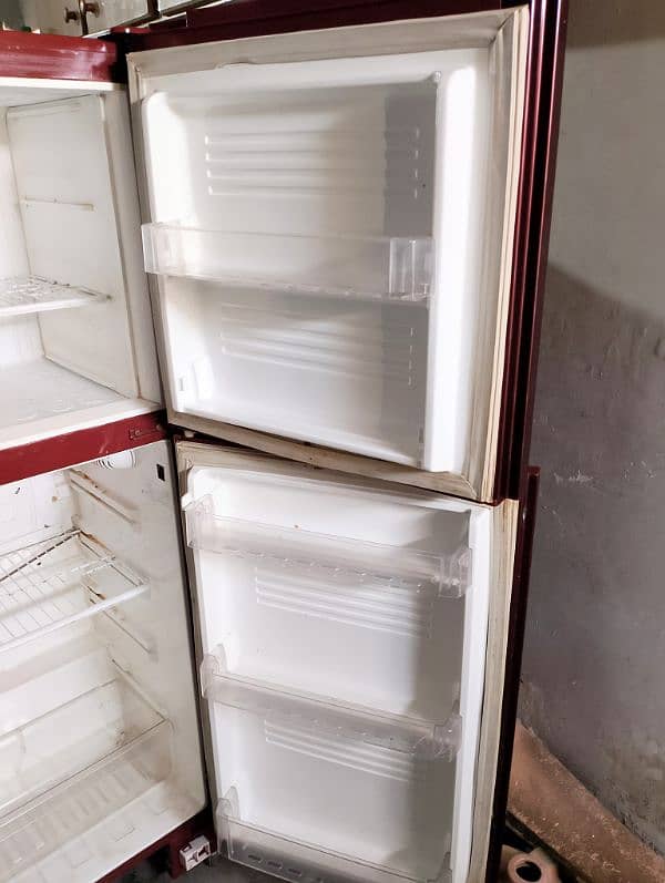 Pel Fridge For Sell 7