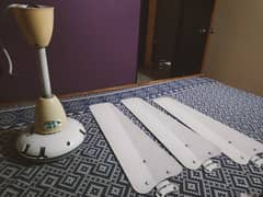 pak ceiling fan for sale