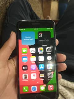 8plus