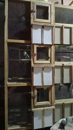 Complete Bird's Aviary setup