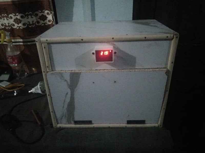 eggs incubator 1