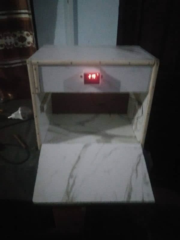 eggs incubator 3