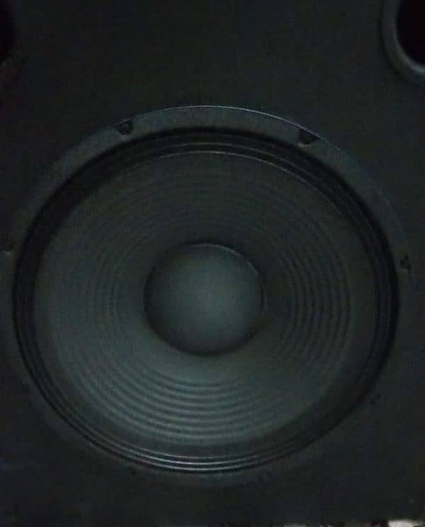 12 inch keyy speaker 2