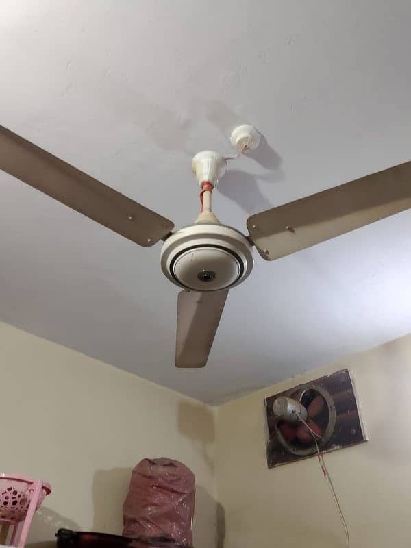 2 cieling fans 1