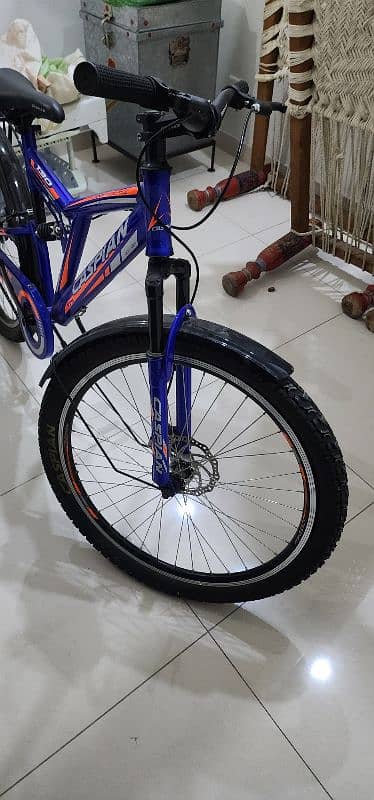 Brand New Cycle for sales! 1