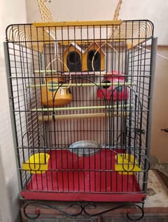 Cage for Parrots