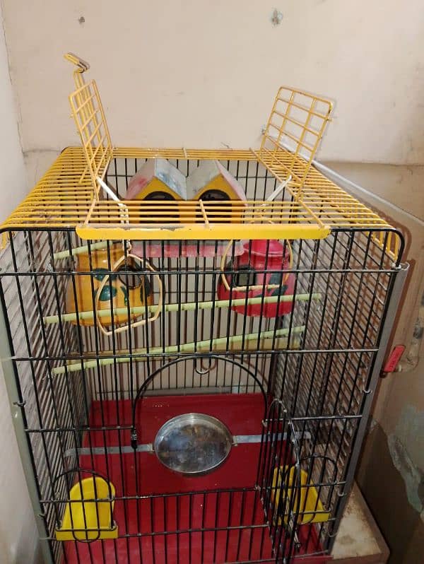 Cage for Parrots 1