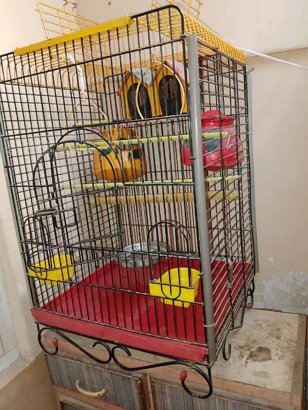 Cage for Parrots 2