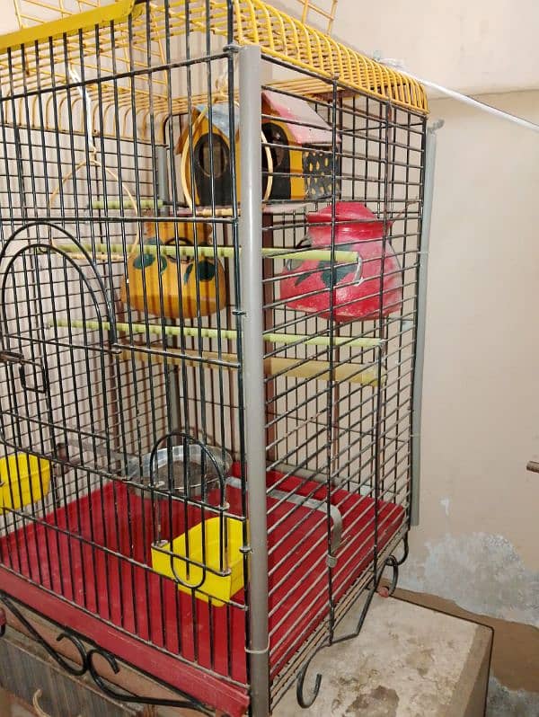 Cage for Parrots 3