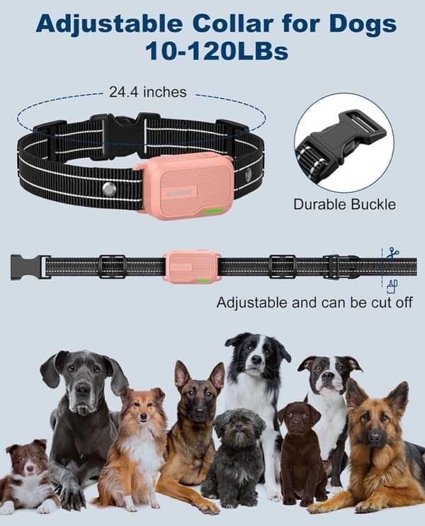 JUGBOW Dog training Collars 4