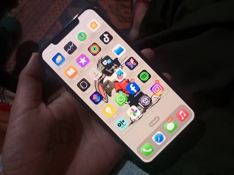 Xs max dual pta 6