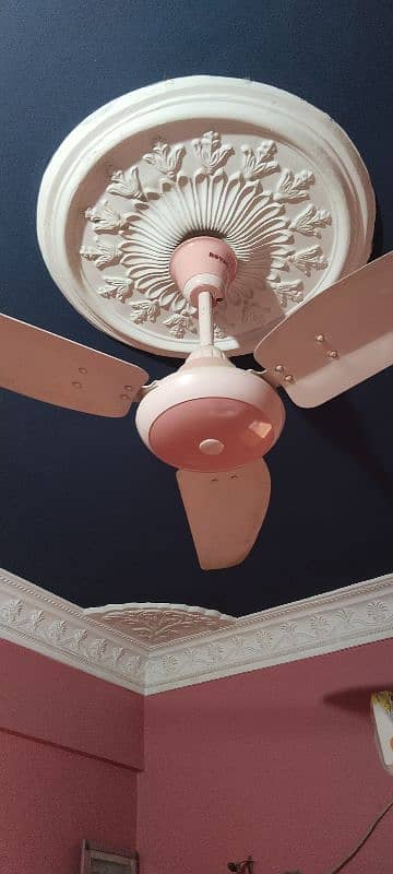 AC Fan 1