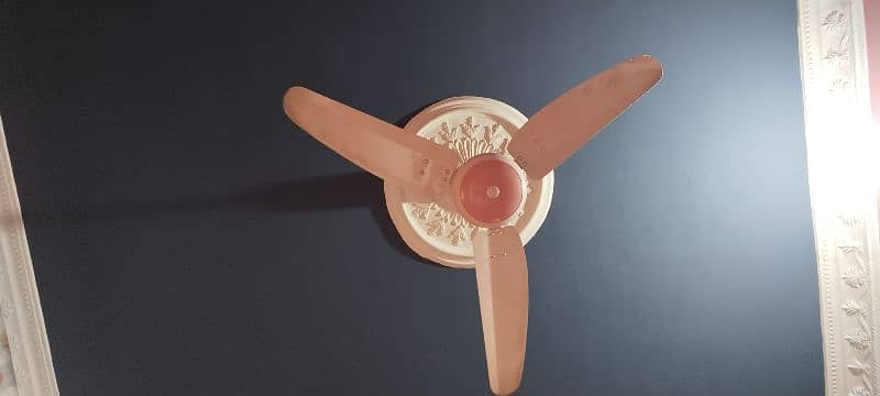 AC Fan 3