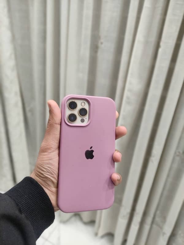 Iphone 12 Pro Max pta dual physical approved lush condition 10 / 10 0