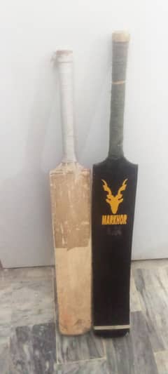 Used cricket bat