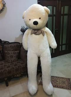 White Teddy Bear