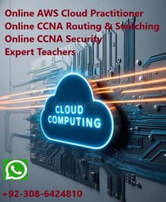 Online CCNA & AWS Cloud Computing Tutor