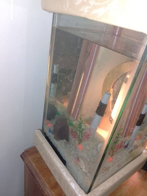 Fish Aquarium with Water Pump 1