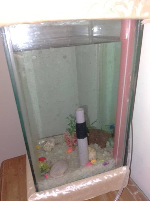 Fish Aquarium with Water Pump 2