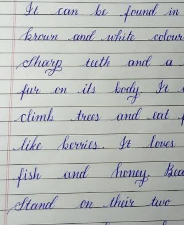 handwriting assignment work 0