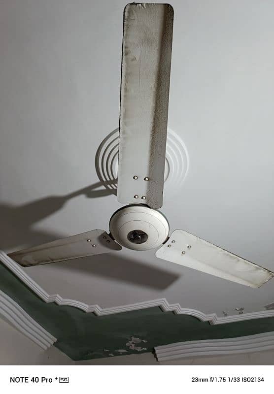 Royal Fan pure copper (Normal AC) 2