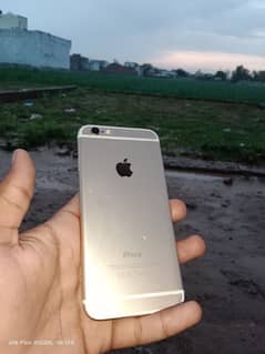 iPhone 6 gold lush