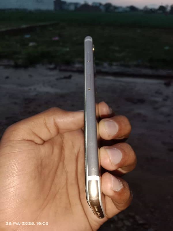 iPhone 6 gold lush 1