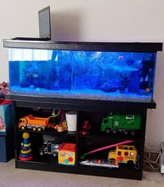 Fish Aquarium Service and maintenance