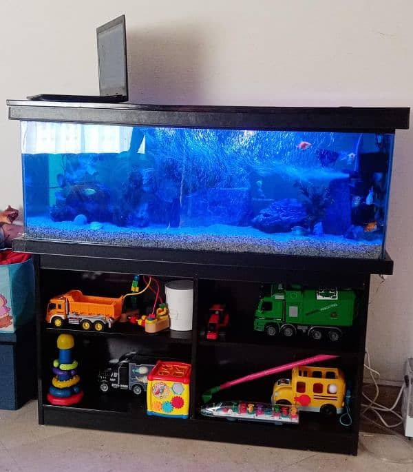 Fish Aquarium Service and maintenance 0