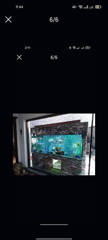 Fish Aquarium Service and maintenance 1