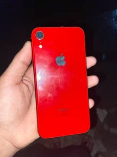 iPhone XR