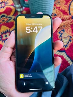 12 pro 128 GB