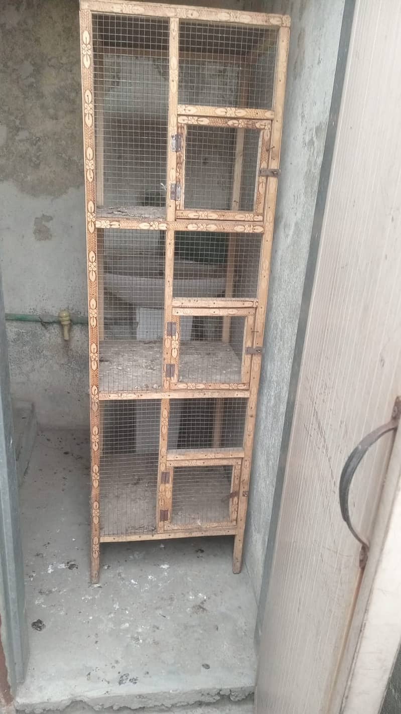 Chicks cage 1