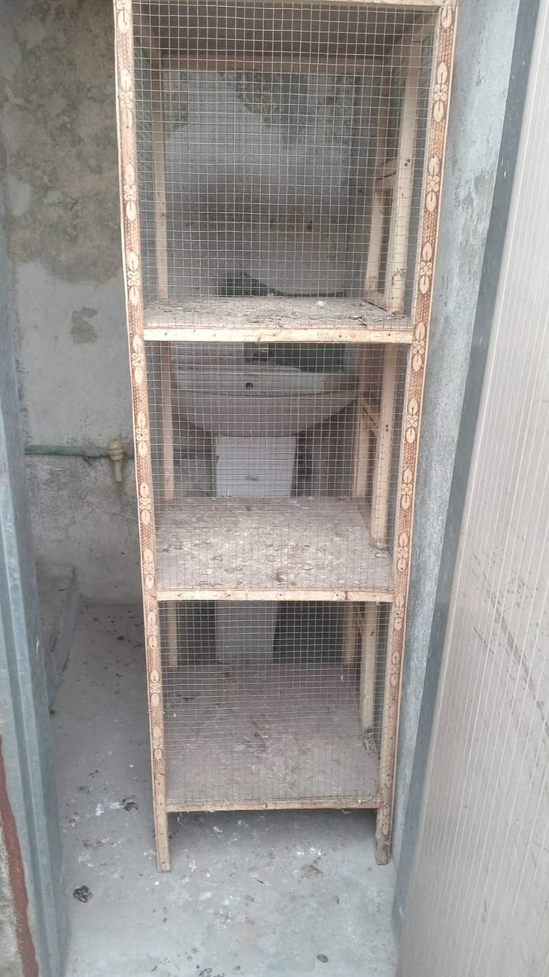 Chicks cage 3