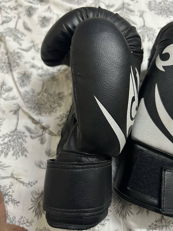 Boxing Gloves 1