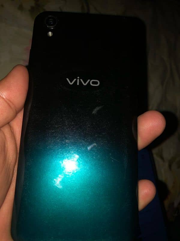 Vivo 2015 All ok ha 0