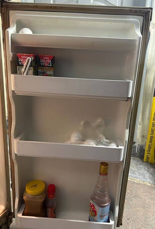 fridge freezer 8