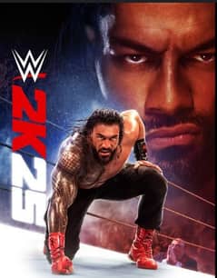 WWE 2k25