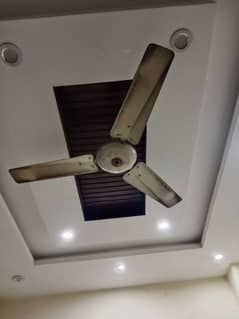 Ceiling Fans