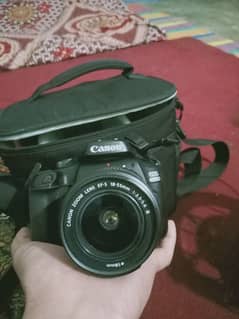 canon 4000D