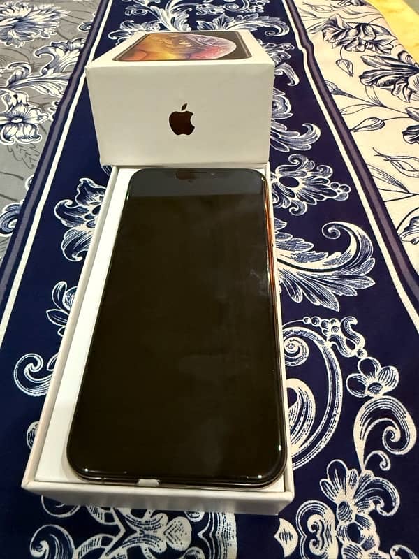 iPhone XS 256 GB 5