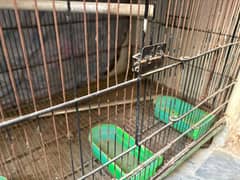 Excellent Quality Cage for Birds / Hen