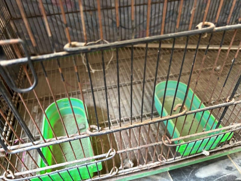 Excellent Quality Cage for Birds / Hen 2