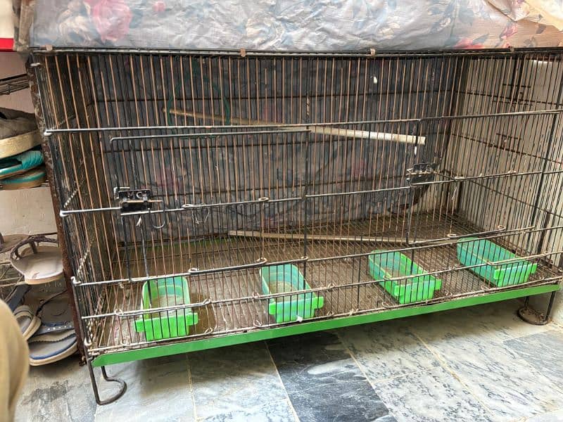 Excellent Quality Cage for Birds / Hen 4