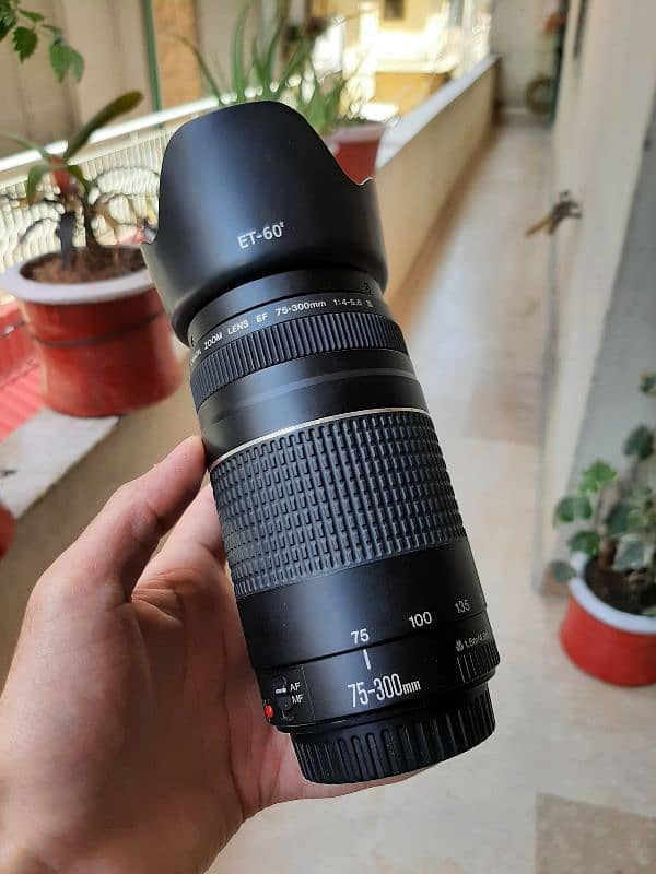 Canon EF 75-300mm Zoom Lens | Brand New Condition 3