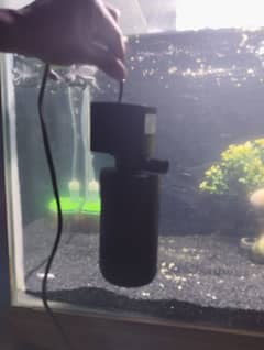 aquarium filter and heater