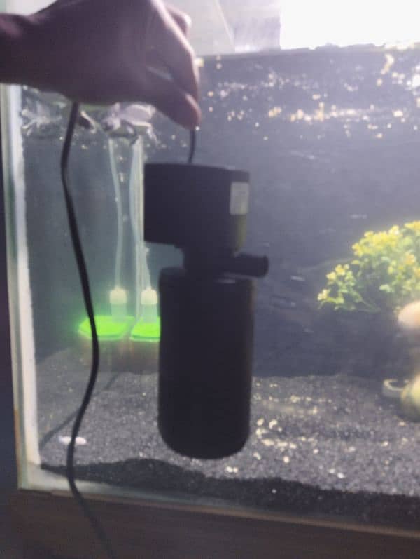 aquarium filter and heater 0